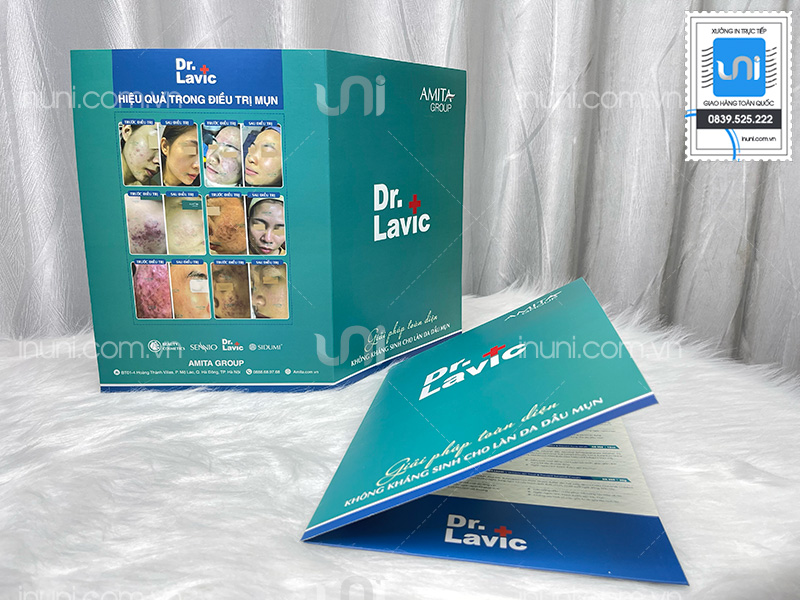 Kẹp file Dr.Lavic