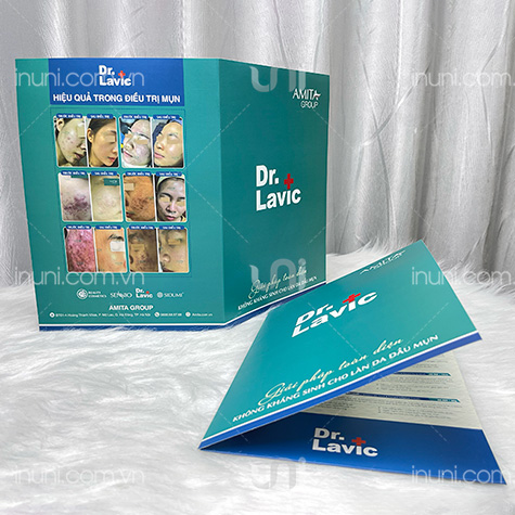 Kẹp file Dr.Lavic