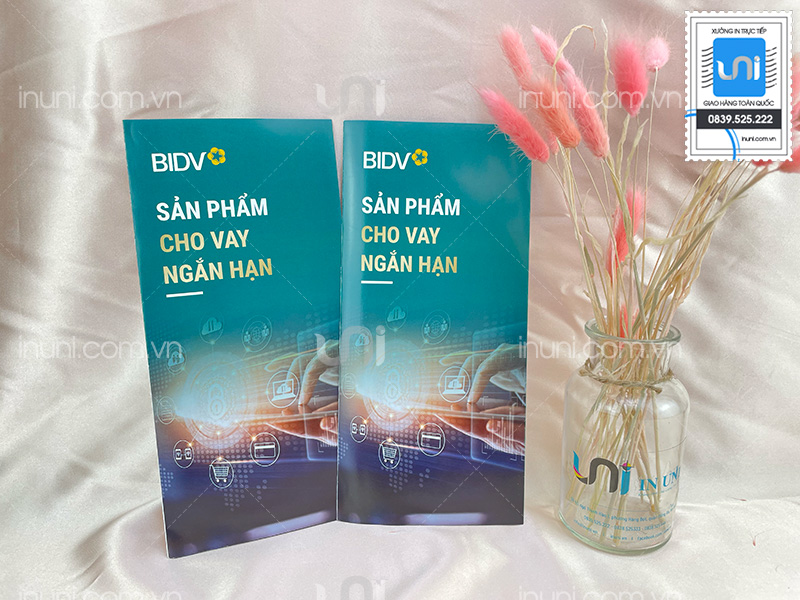 Tờ gấp, Brochure ngân hàng BIDV