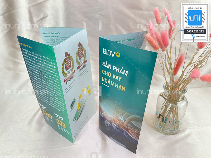 Tờ gấp, Brochure ngân hàng BIDV