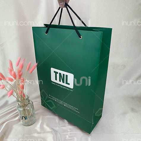 Túi giấy Food Service - TNL