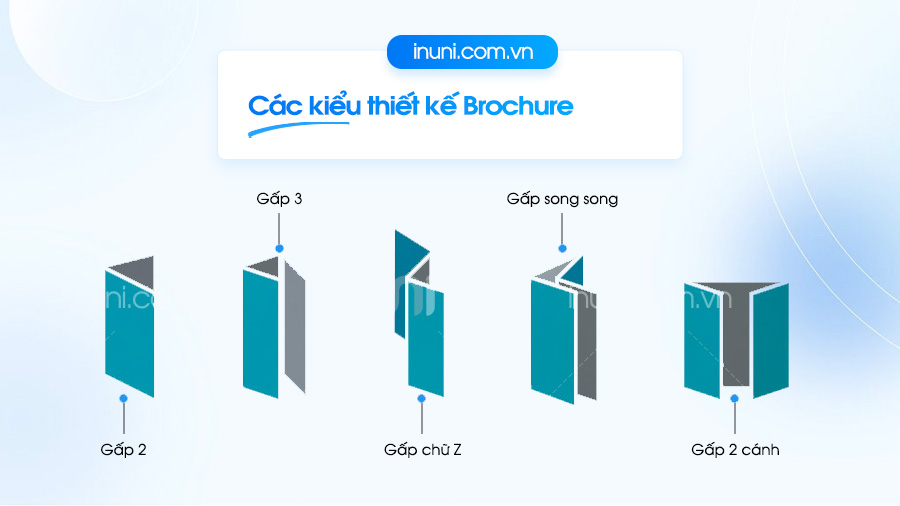 Những kiểu thiết kế brochure