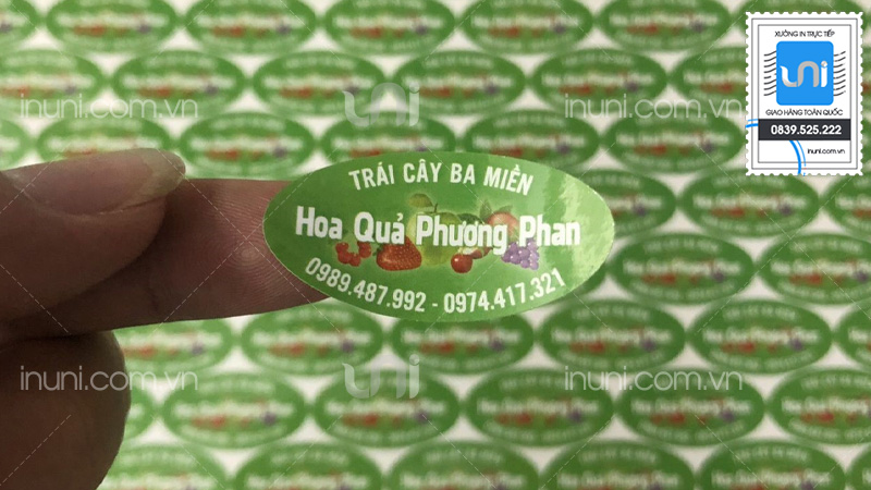Báo giá in tem nhãn hình elip (oval) decal giấy