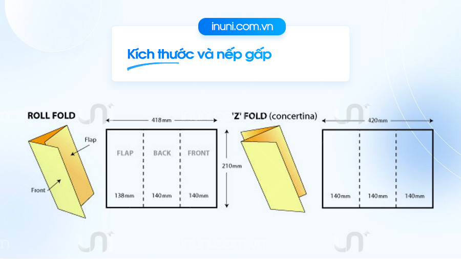 Kích thước và nếp gấp