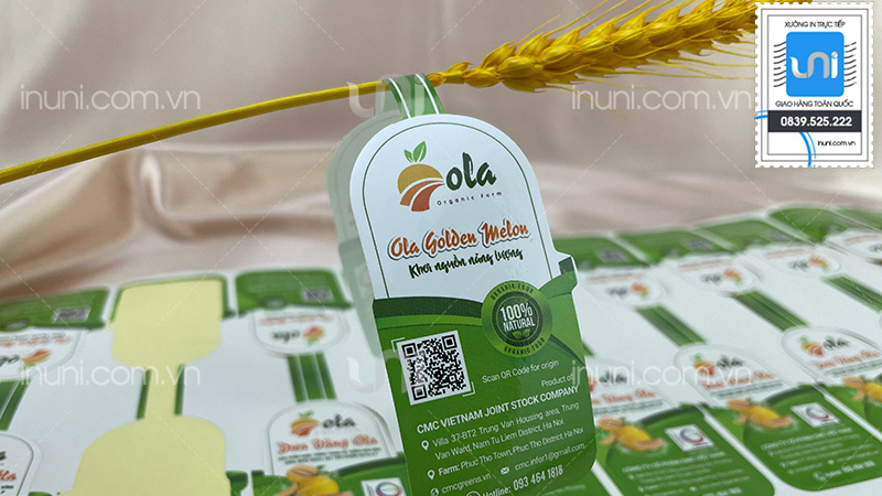 Tem nhãn decal QR code dán sản phẩm dưa lưới Ola