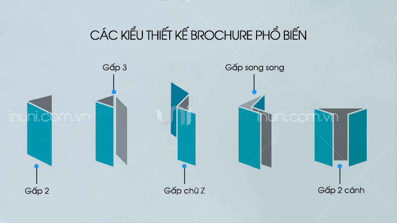 Những kiểu thiết kế brochure