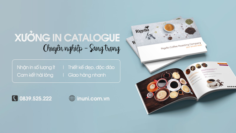 In Catalogue giá rẻ, in số lượng ít lấy ngay tại Hà Nội