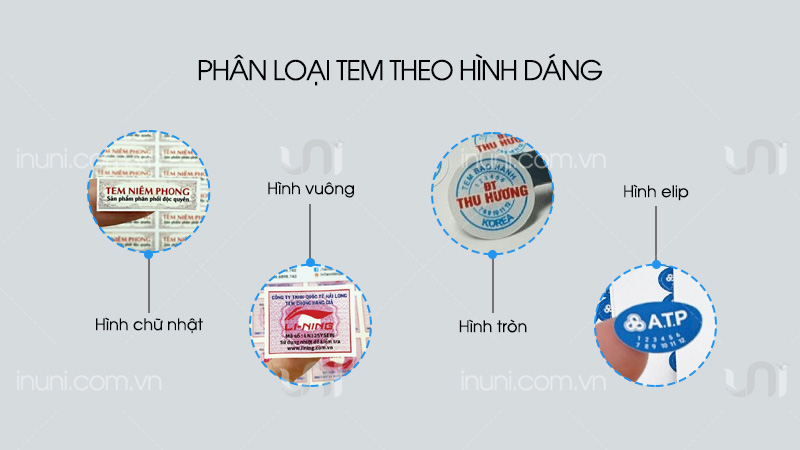 Phân loại theo hình dáng