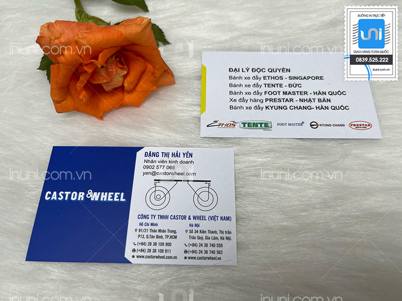 Card visit Castor & Wheel