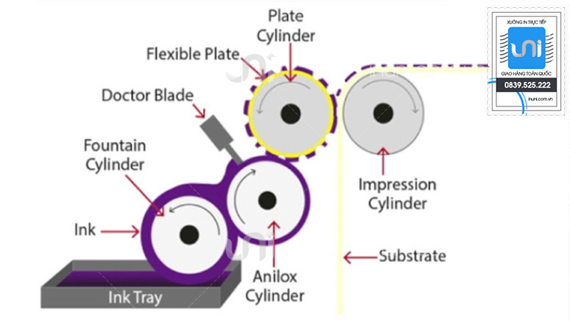 Nguyên lý của kỹ thuật in flexo