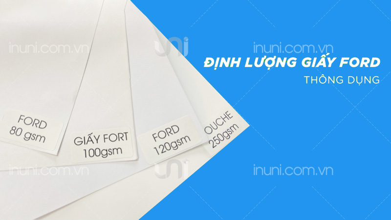 Phân loại chất liệu giấy fort (ford) trên thị trường