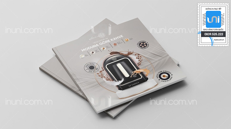 Catalog và brochure