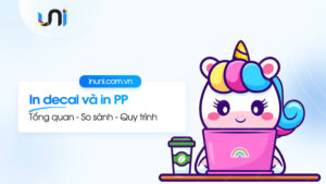 So sánh in decal và in PP chi tiết từ A đến Z không phải ai cũng biết