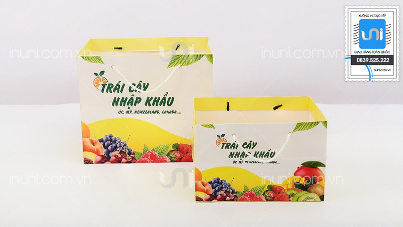 Kiểu dáng và quai xách