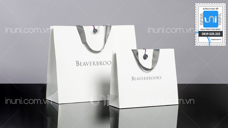 Tại sao nhiều shop thời trang chọn đầu tư in túi giấy chuyên nghiệp