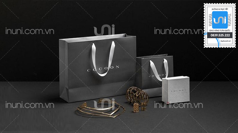 Mẫu túi giấy trang sức tiêu biểu của UNI