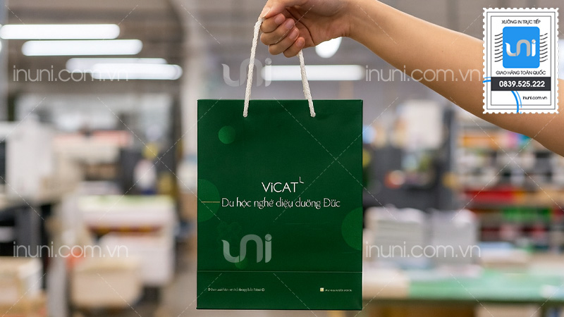 Mẫu túi giấy công ty du học tại UNI