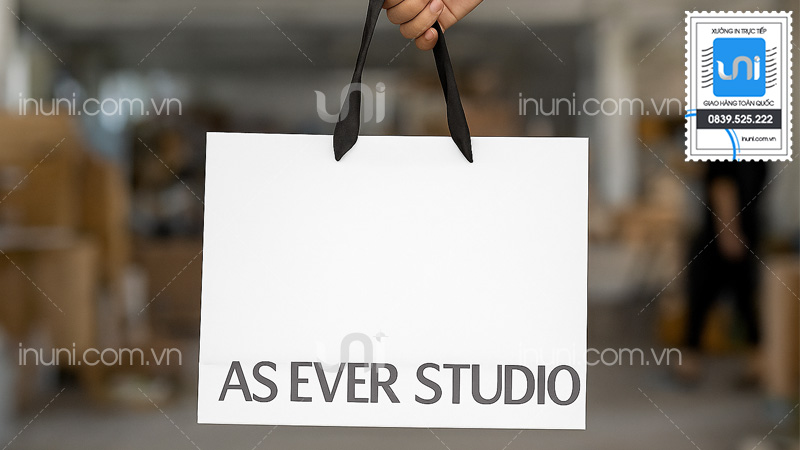 Bộ sưu tập mẫu túi giấy studio đẹp, độc đáo của UNI