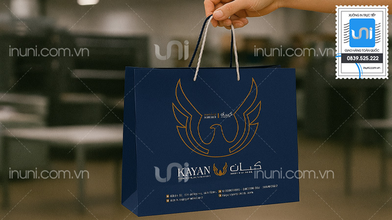 So sánh in túi giấy theo yêu cầu vs túi trơn có sẵn